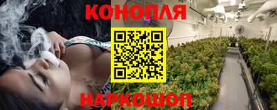 дмт Дубна