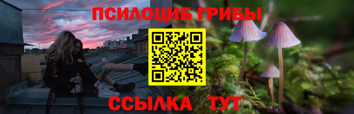 Псилоцибиновые грибы мицелий  Вход с VPN  Мирный 